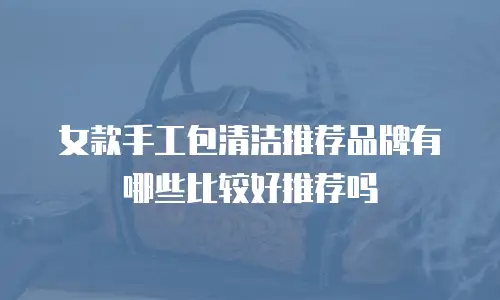 女款手工包清洁推荐品牌有哪些比较好推荐吗