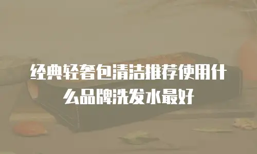 经典轻奢包清洁推荐使用什么品牌洗发水最好