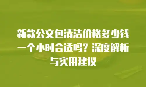 新款公文包清洁价格多少钱一个小时合适吗？深度解析与实用建议