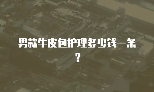 男款牛皮包护理多少钱一条？
