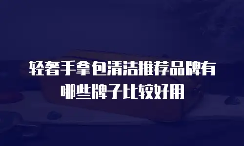 轻奢手拿包清洁推荐品牌有哪些牌子比较好用
