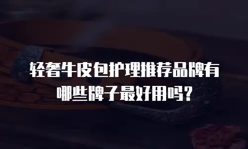 轻奢牛皮包护理推荐品牌有哪些牌子最好用吗？