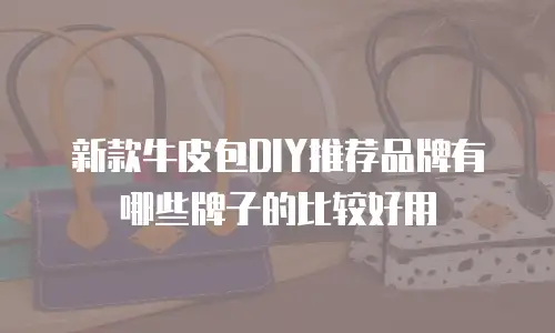 新款牛皮包DIY推荐品牌有哪些牌子的比较好用