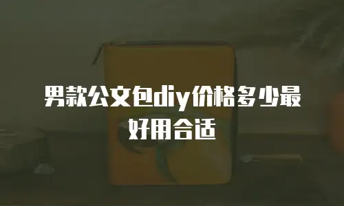 男款公文包diy价格多少最好用合适