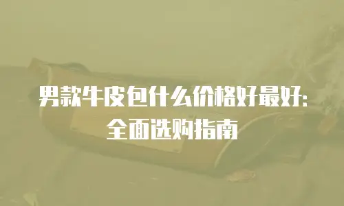 男款牛皮包什么价格好最好：全面选购指南