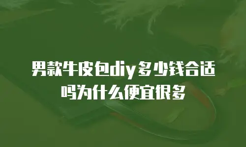 男款牛皮包diy多少钱合适吗为什么便宜很多