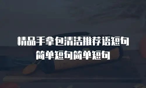 精品手拿包清洁推荐语短句简单短句简单短句
