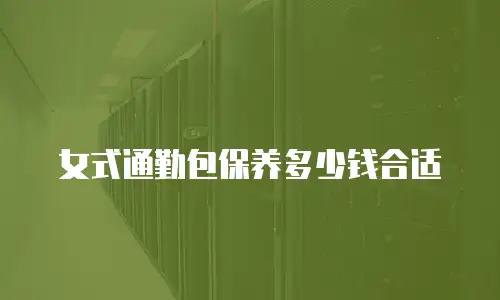 女式通勤包保养多少钱合适