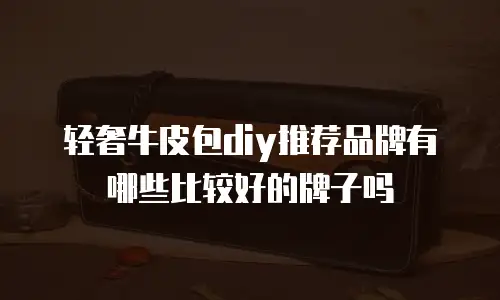 轻奢牛皮包diy推荐品牌有哪些比较好的牌子吗