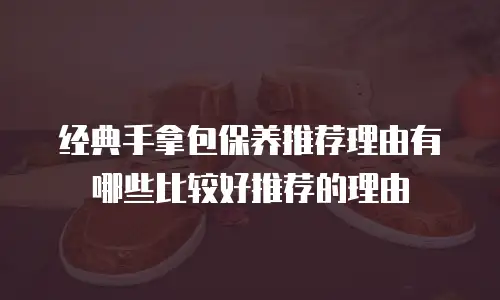经典手拿包保养推荐理由有哪些比较好推荐的理由