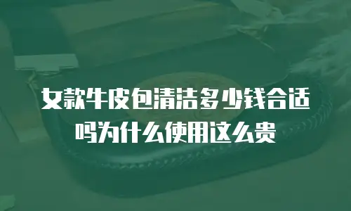 女款牛皮包清洁多少钱合适吗为什么使用这么贵