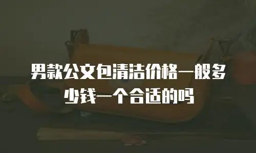 男款公文包清洁价格一般多少钱一个合适的吗