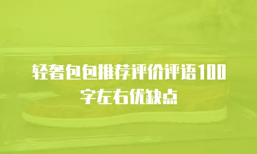 轻奢包包推荐评价评语100字左右优缺点