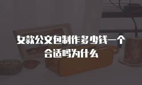 女款公文包制作多少钱一个合适吗为什么