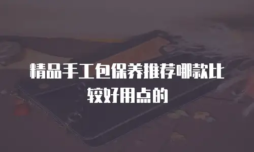 精品手工包保养推荐哪款比较好用点的