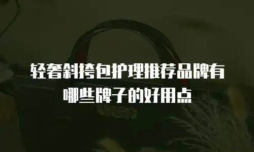 轻奢斜挎包护理推荐品牌有哪些牌子的好用点