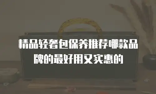 精品轻奢包保养推荐哪款品牌的最好用又实惠的