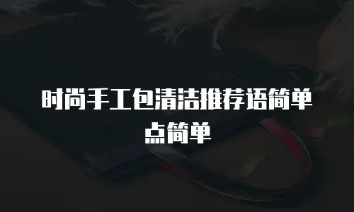 时尚手工包清洁推荐语简单点简单