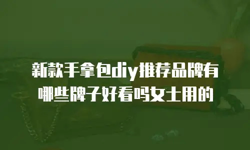 新款手拿包diy推荐品牌有哪些牌子好看吗女士用的