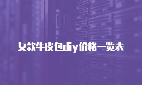 女款牛皮包diy价格一览表
