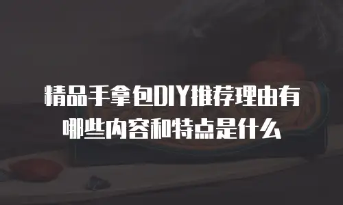 精品手拿包DIY推荐理由有哪些内容和特点是什么