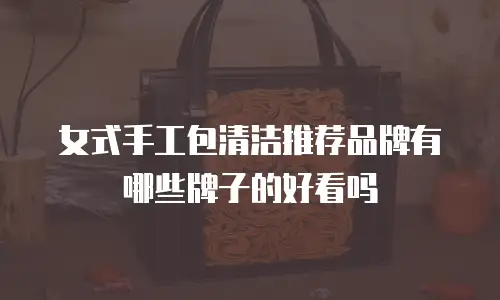 女式手工包清洁推荐品牌有哪些牌子的好看吗