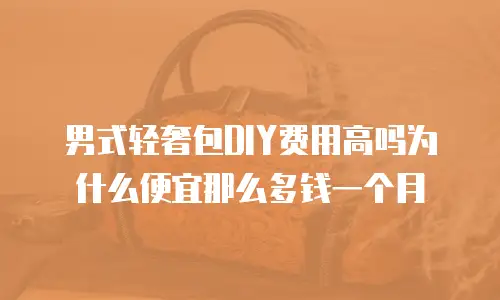 男式轻奢包DIY费用高吗为什么便宜那么多钱一个月
