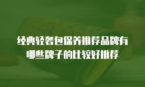 经典轻奢包保养推荐品牌有哪些牌子的比较好推荐