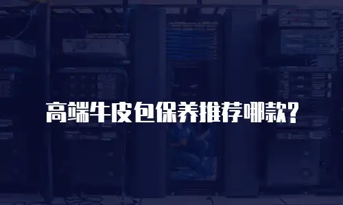 高端牛皮包保养推荐哪款?
