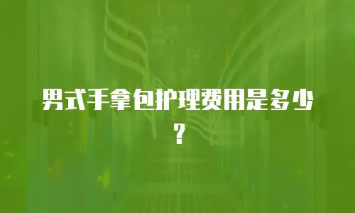 男式手拿包护理费用是多少？