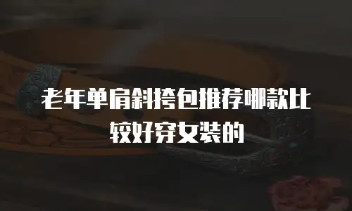 老年单肩斜挎包推荐哪款比较好穿女装的