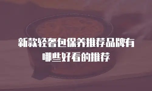 新款轻奢包保养推荐品牌有哪些好看的推荐
