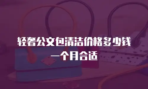 轻奢公文包清洁价格多少钱一个月合适