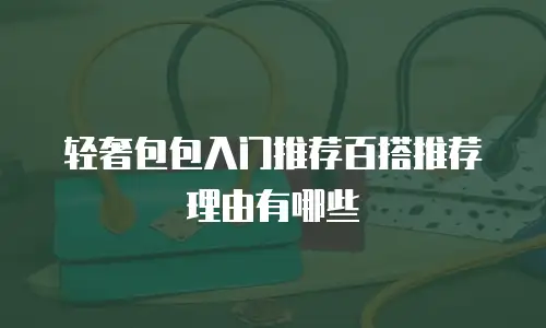 轻奢包包入门推荐百搭推荐理由有哪些