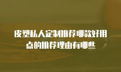 皮塑私人定制推荐哪款好用点的推荐理由有哪些
