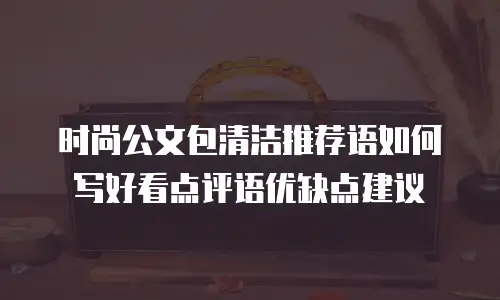 时尚公文包清洁推荐语如何写好看点评语优缺点建议
