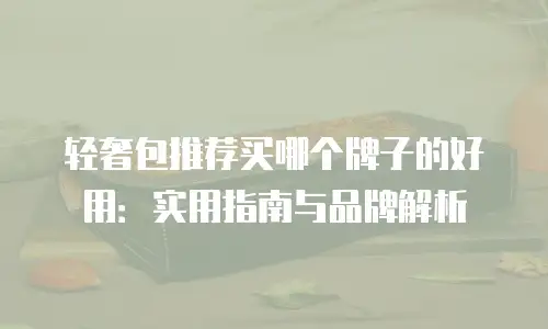 轻奢包推荐买哪个牌子的好用：实用指南与品牌解析