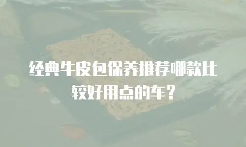 经典牛皮包保养推荐哪款比较好用点的车？