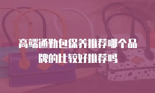 高端通勤包保养推荐哪个品牌的比较好推荐吗