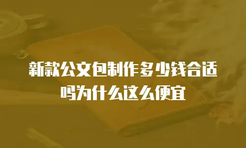 新款公文包制作多少钱合适吗为什么这么便宜