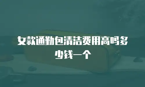 女款通勤包清洁费用高吗多少钱一个