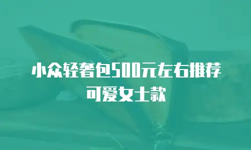 小众轻奢包500元左右推荐可爱女士款