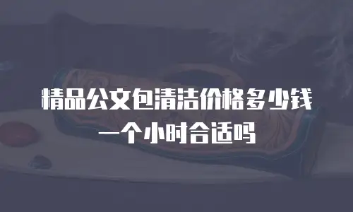 精品公文包清洁价格多少钱一个小时合适吗