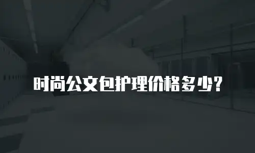 时尚公文包护理价格多少？