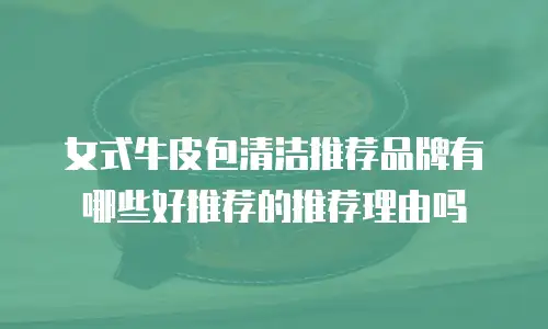 女式牛皮包清洁推荐品牌有哪些好推荐的推荐理由吗