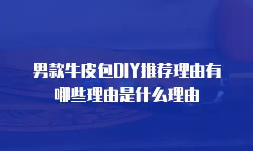 男款牛皮包DIY推荐理由有哪些理由是什么理由