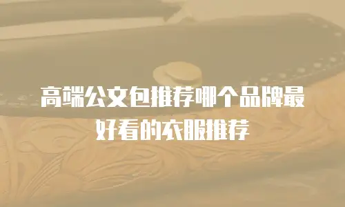 高端公文包推荐哪个品牌最好看的衣服推荐