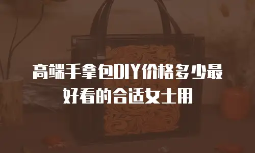 高端手拿包DIY价格多少最好看的合适女士用