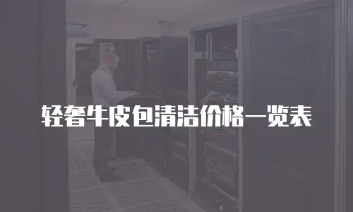 轻奢牛皮包清洁价格一览表