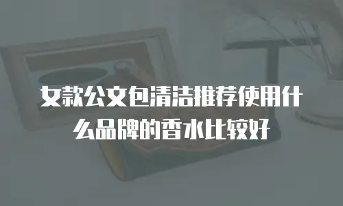 女款公文包清洁推荐使用什么品牌的香水比较好